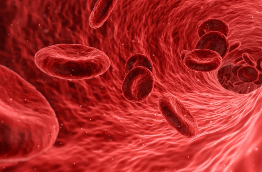 La anemia, sus causas más comunes y su relación con el hierro